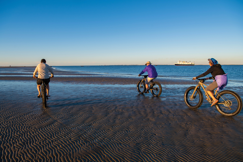 Guests ride Fat-tire bikes in sand dollar beach, Isla Magdalena, Baja California Sur, Mexico