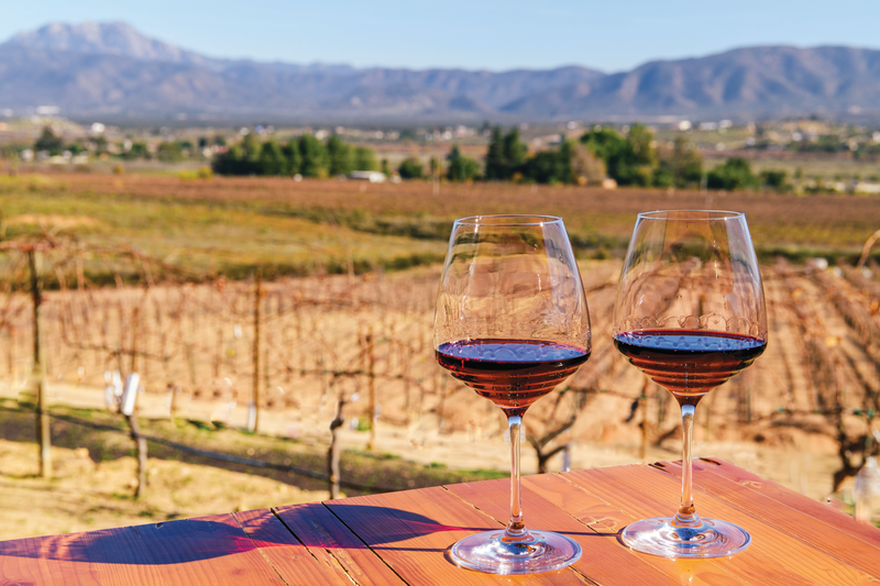 Two glasses of red wine in Valle de Guadalupe, Mexico - a prominent winemaking region of the Baja California Peninsula