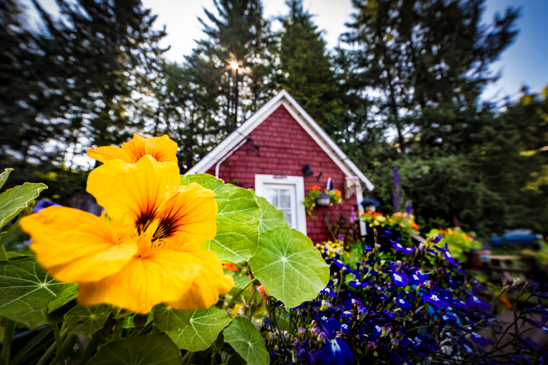 Flowers in fron of a cut little house in Petersburg, Alaska.