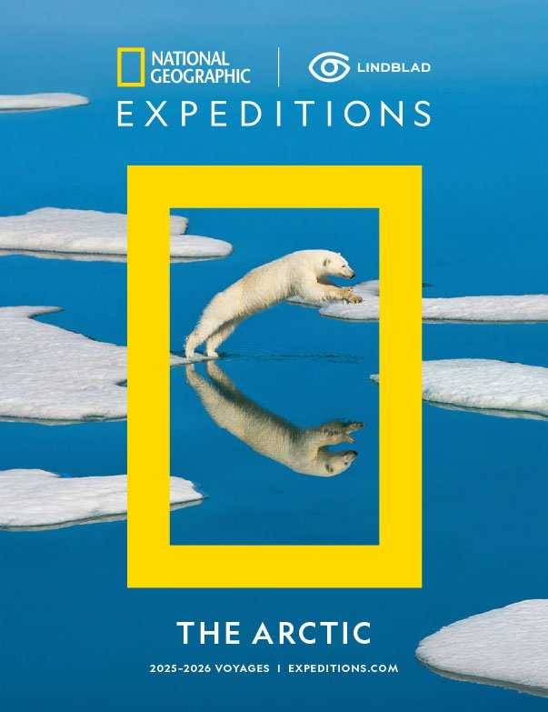 Arctic 2025-26