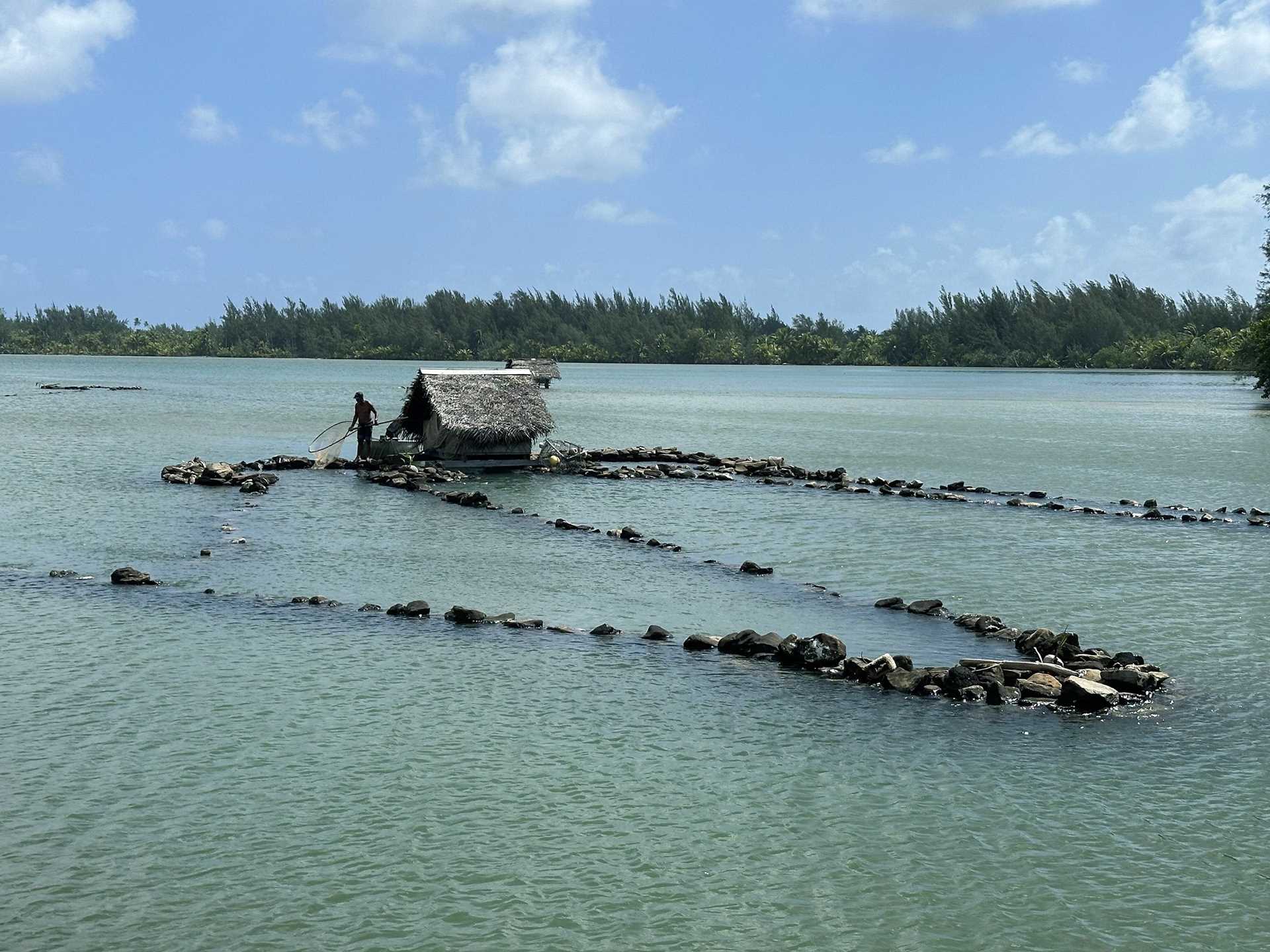 fisherman in lagoon