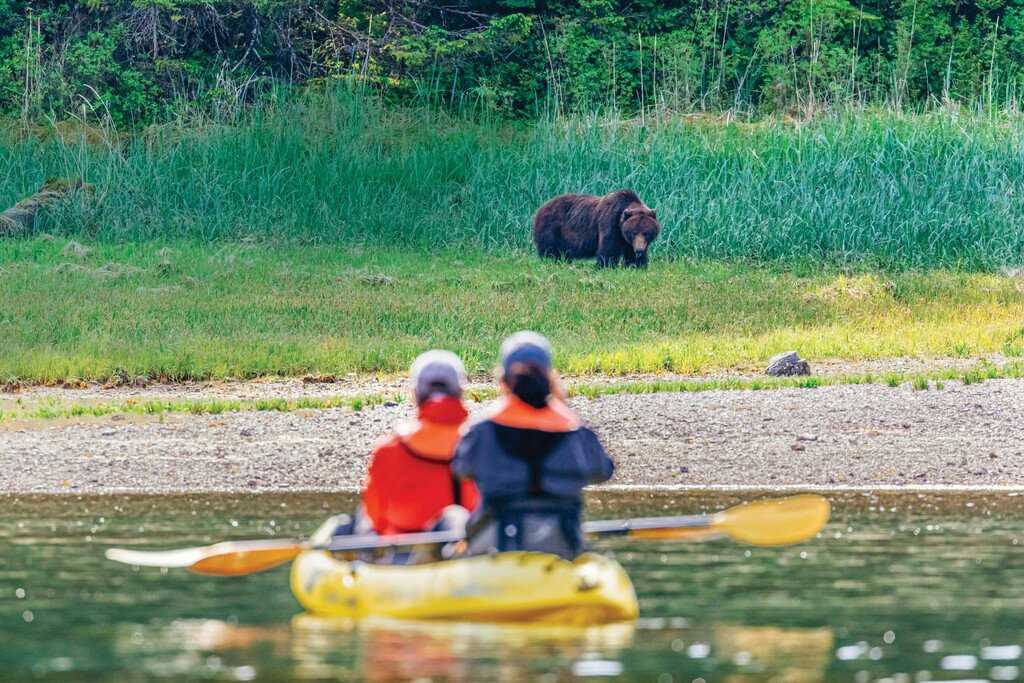 Two people in a kayak view a brown bear on the shores of Chicagof Island, Alaska.