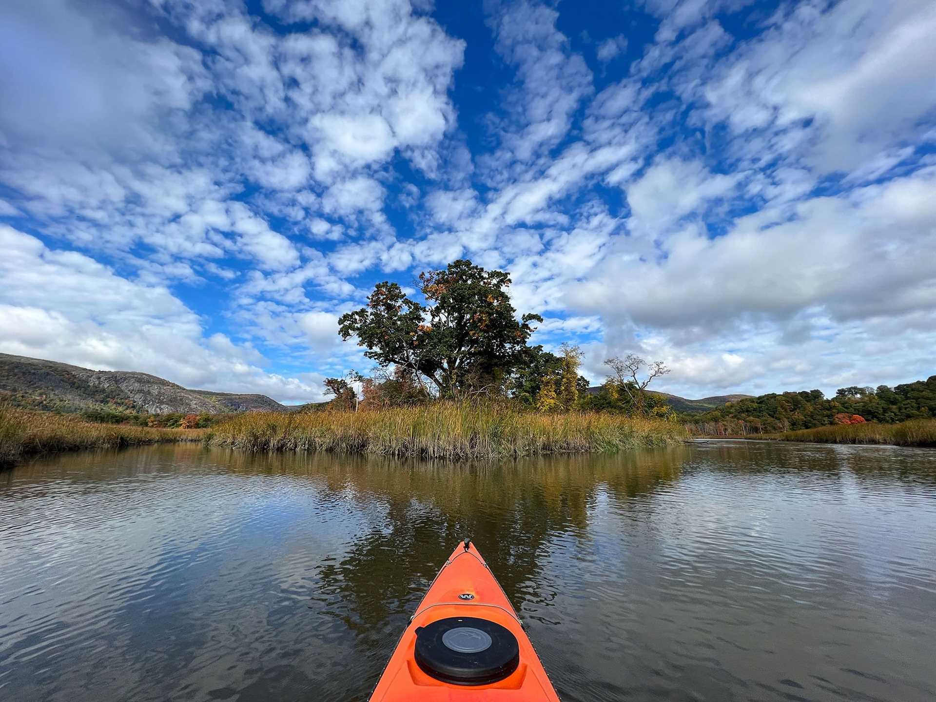 kayak in marsh