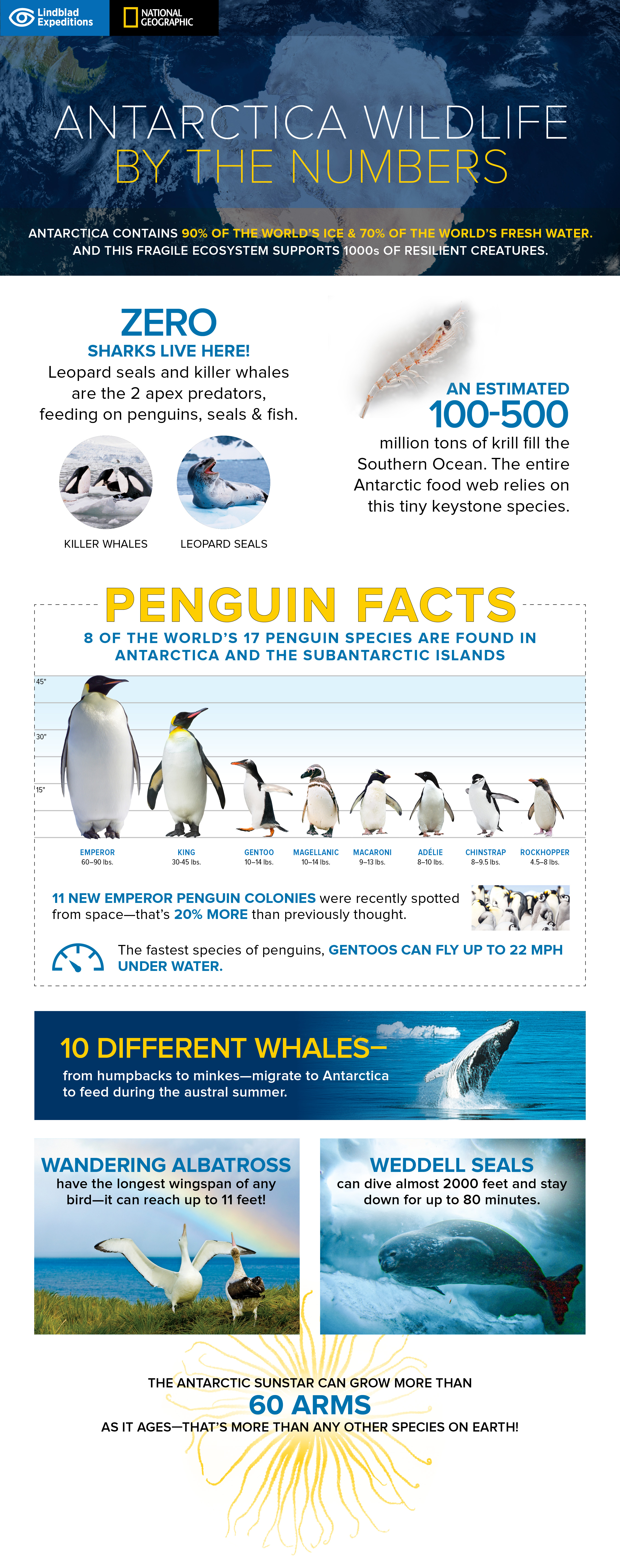 Antarctica_Infographic.jpg