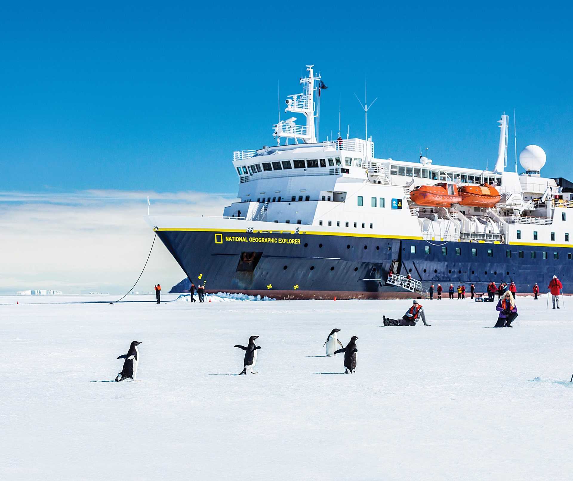 penguins and ship