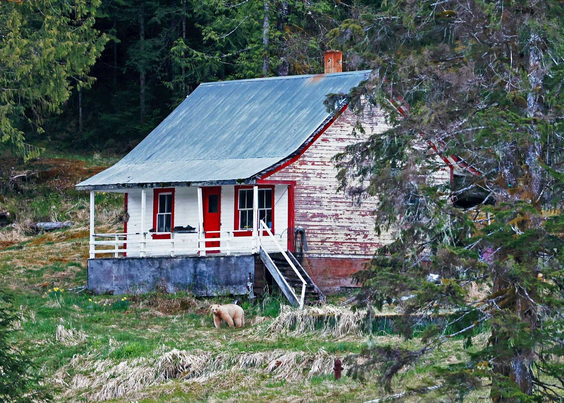 house with spirit bear on the front porch