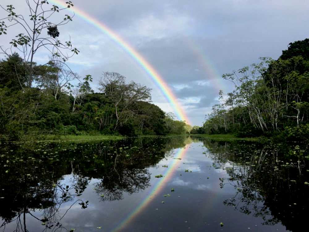 Rainbow over the Amazon River.jpg