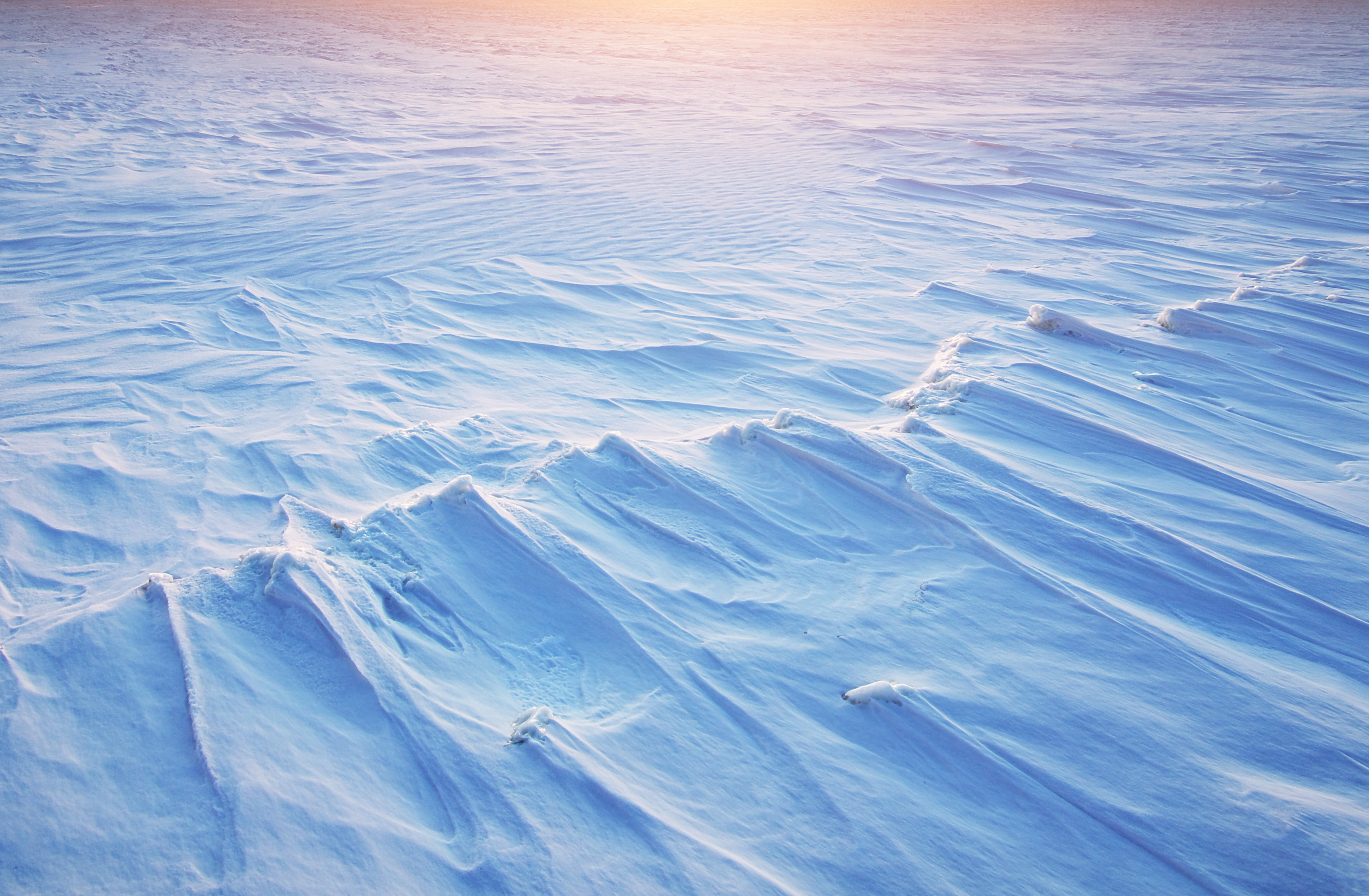 Winter landscape texture