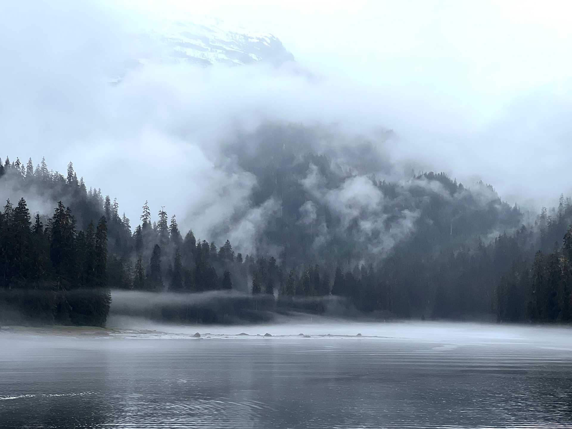 mist-shrouded mountain