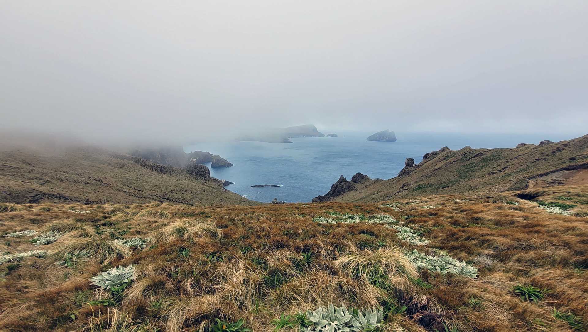 a grassy hill overlooking foggy water