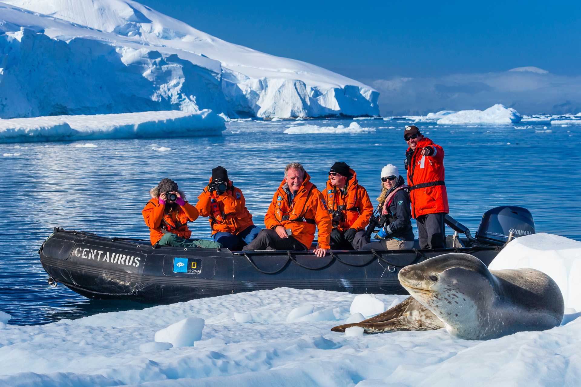 A naturalist points out a leopard seal on pack ice to five guests while on a Zodiac.