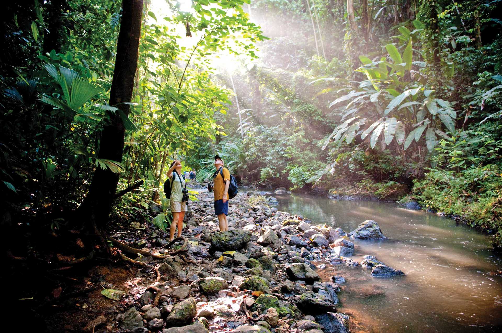 Exploring Costa Rica Rainforest.jpg