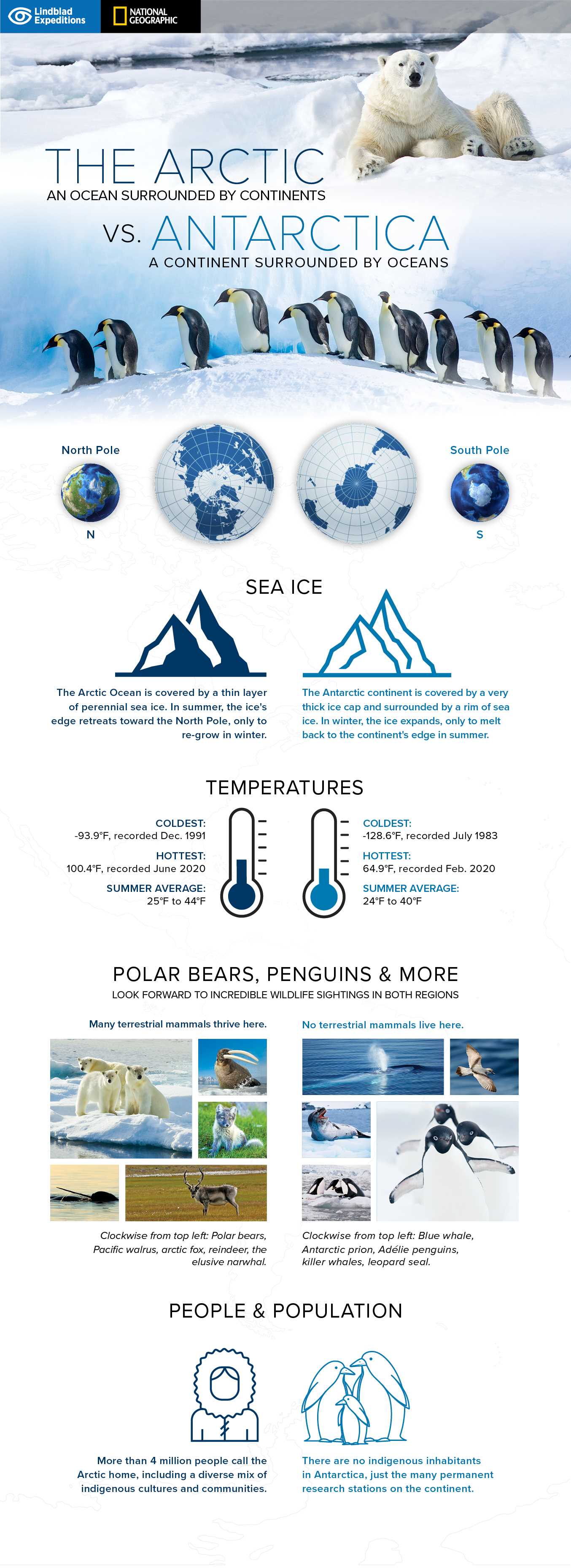 Arctic Vs Anatarctica Infographic.png