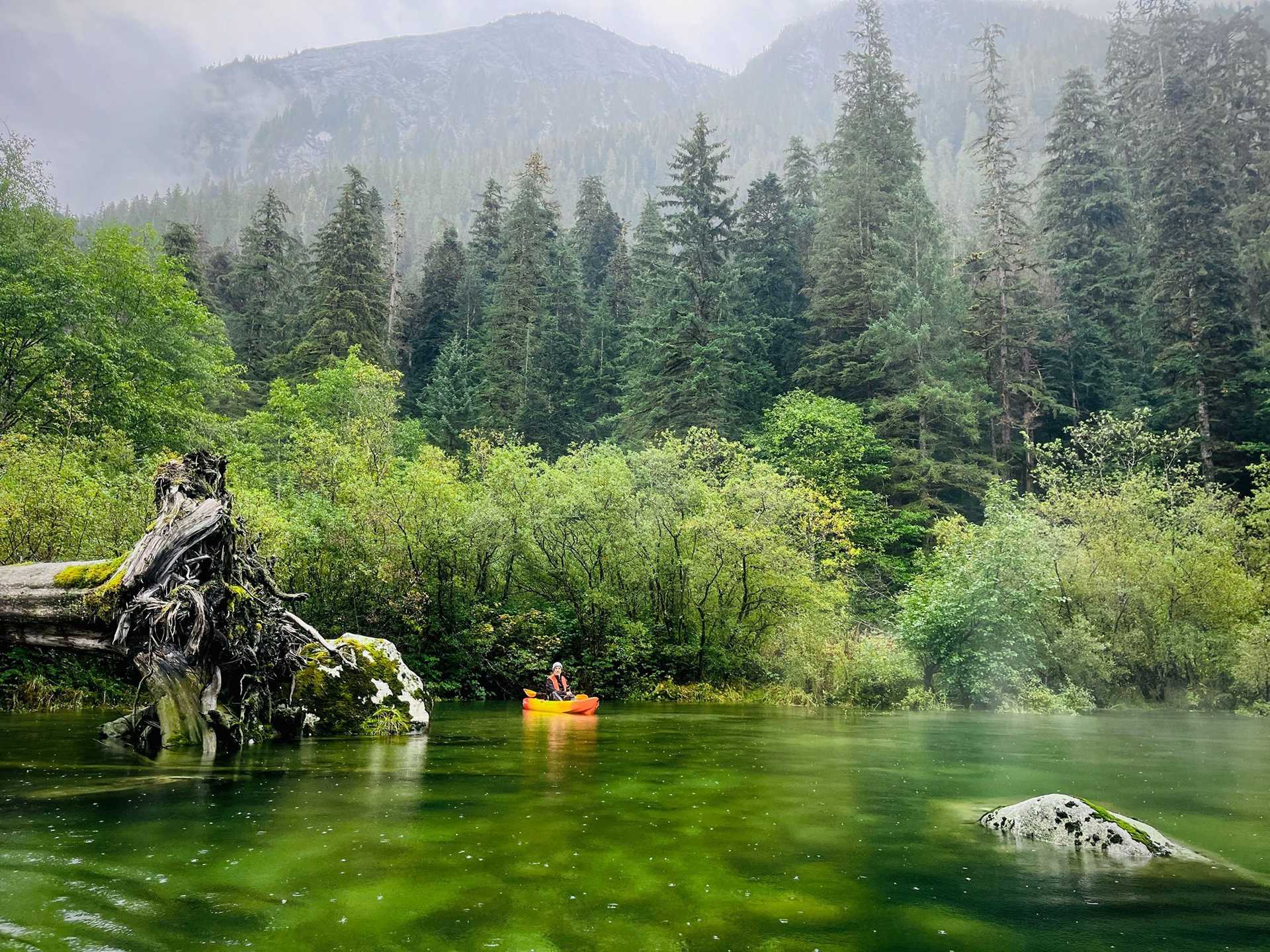 orange kayak in a green forest