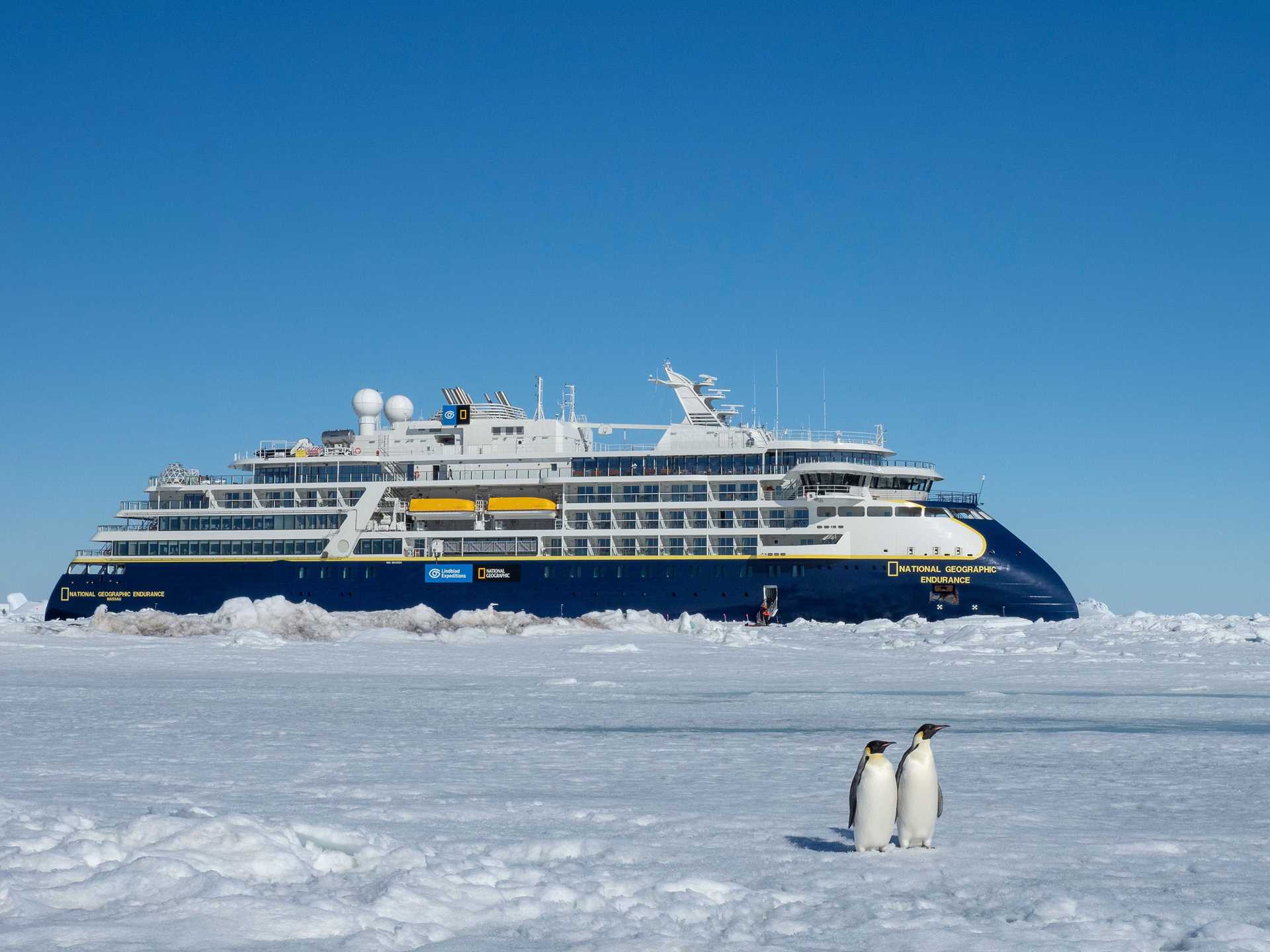 National Geographic Endurance ship parked in ice with penguins in the foreground