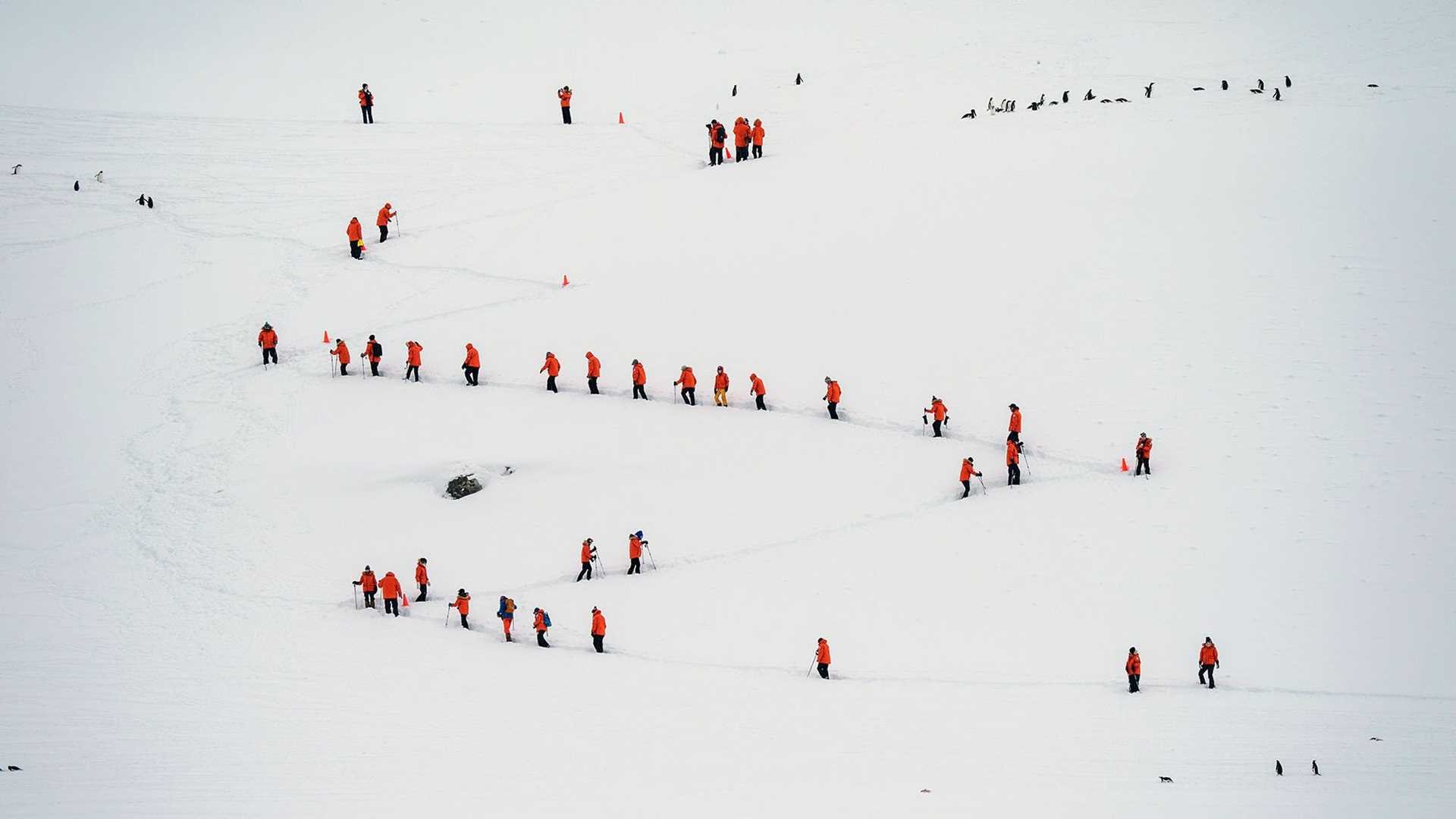 hikers in red parkas zigzagging up a snowy hill