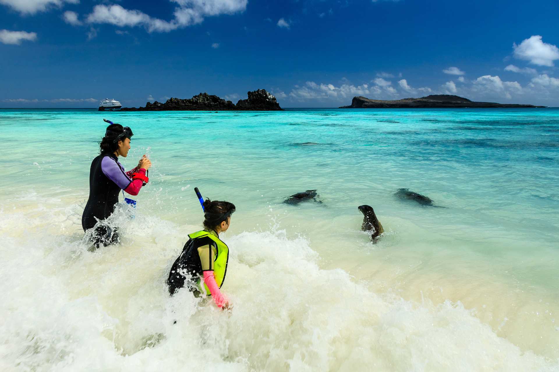 A mother and daughter spot three Galápagos sea lions while getting ready to snorkel.