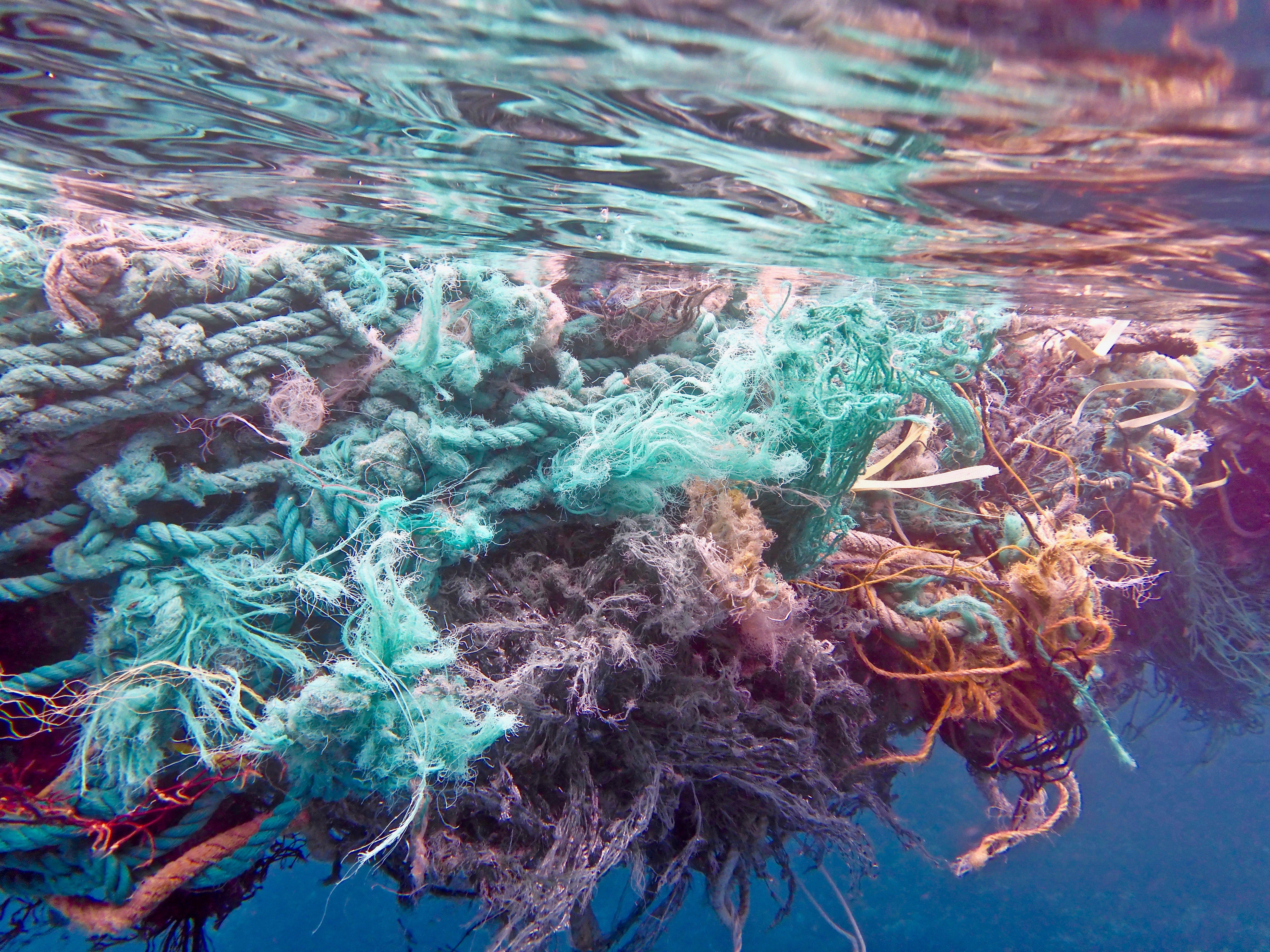 Nets Under Water.jpg