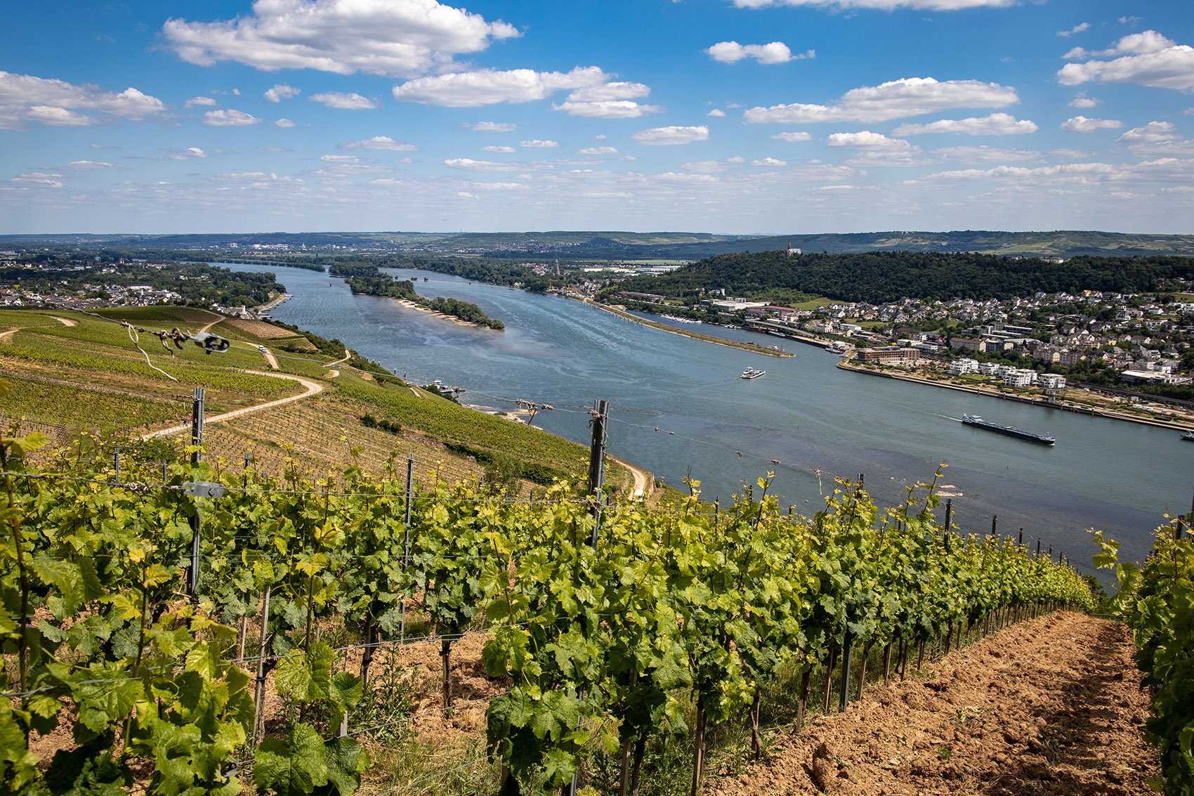 Large RGB-LEX-Germany Rüdesheim am Rhein Hesse istock1246349763.jpg