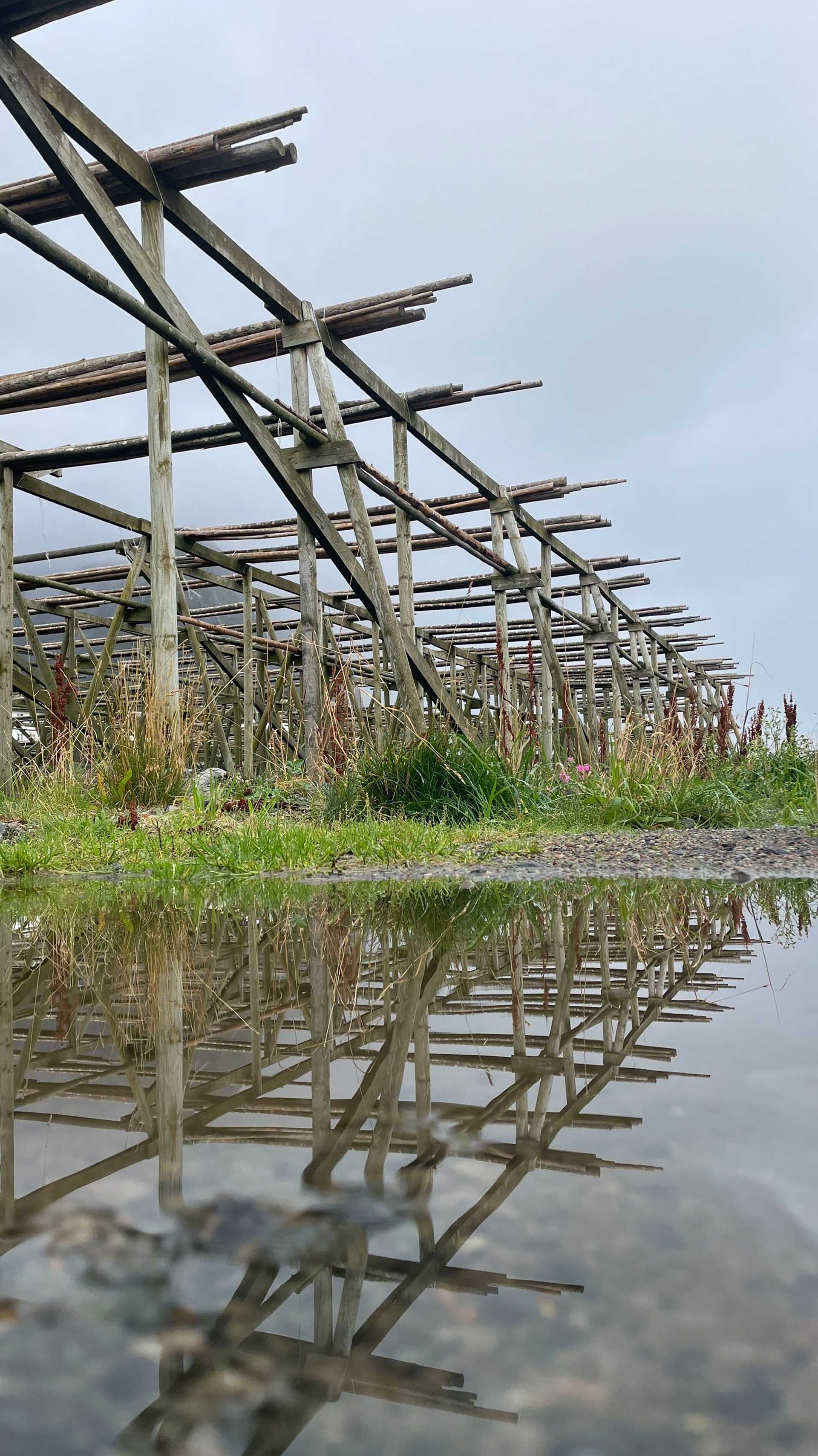 cod drying rack reflected in still water
