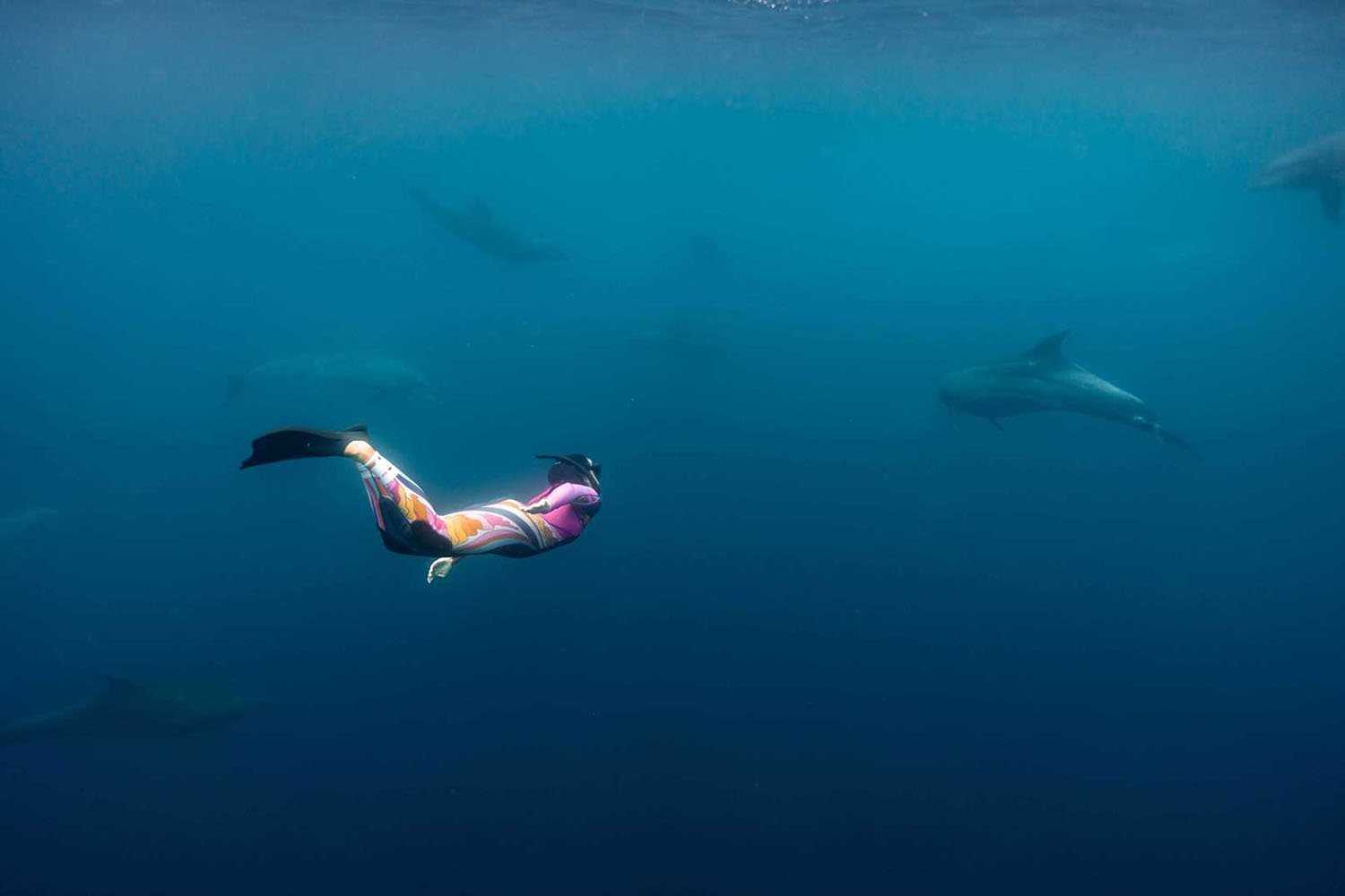 snorkeling with dolphins