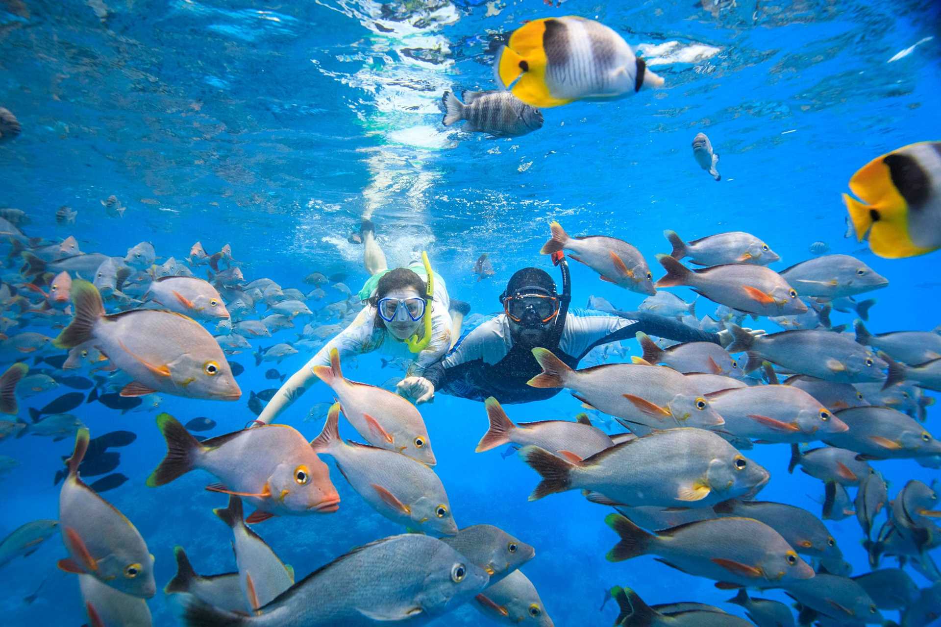 a man and woman snorkel among colorful fish