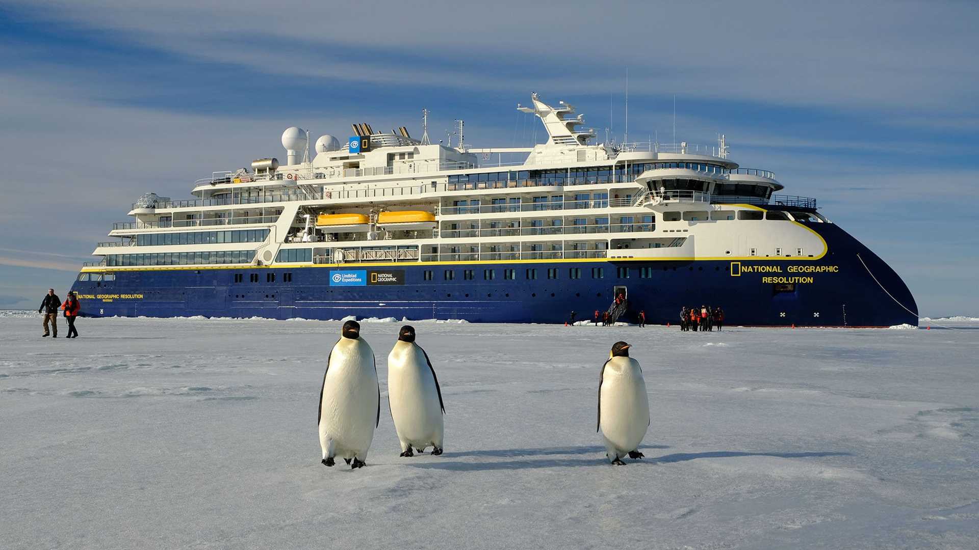 three emperor penguins in front of National Geographic Resolution